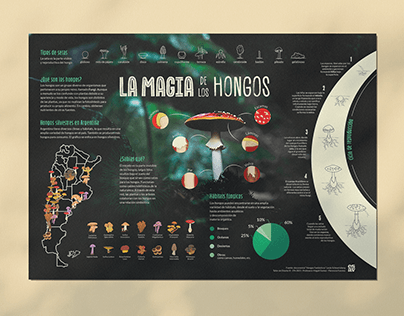 Project thumbnail - La Magia de los Hongos - Infografía