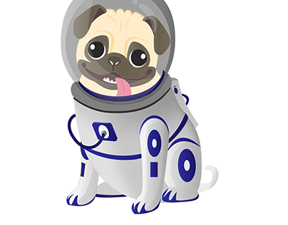 space pug illustration design