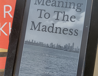 Meaning To The Madness - A Memoir
