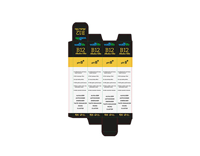 Waterlife B12 Alkaline Filter Packaging