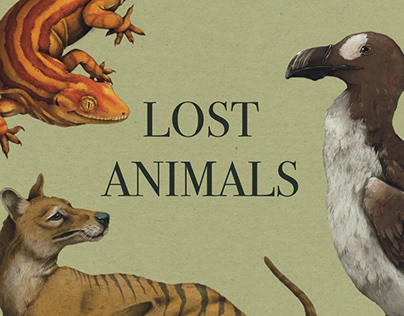 Project thumbnail - Lost animals