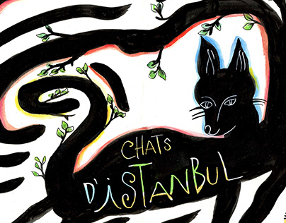 Chats d'Istanbul