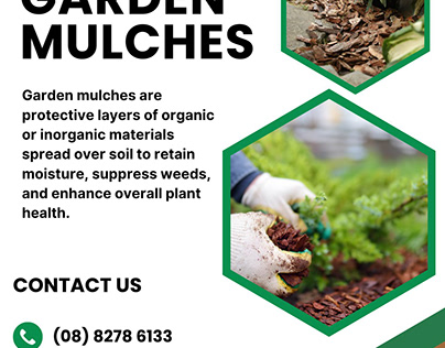 The Impact of Eco-Friendly Mulch in Gardening