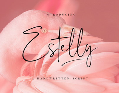 Estelly - Handwritten Script Font