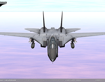 Grumman F-14B Upgrade Interceptor-Multirole Aircraft