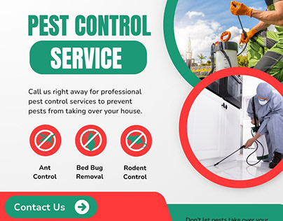 Professional pest control services in Ahmedabad Gujarat