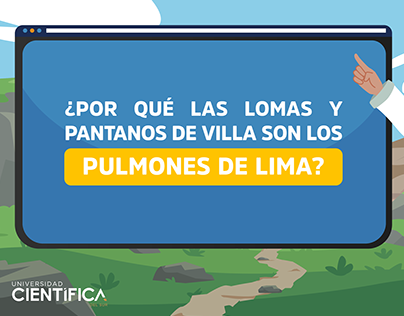 Pulmones de Lima