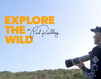 Explore the Wild