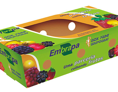 Development of fruit packaging - Embrapa