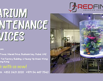 Maintain a Healthy Aquarium with Red-Fin