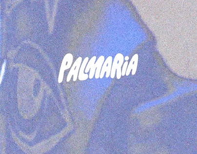 PALMARIA LIVE VIDEO MIXED MEDIA