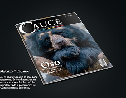 Magazine ''El Cauce'' mirada por Cundinamarca