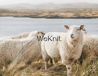 WeKnit - Knitwear Brand