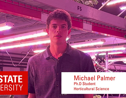 Grad Student Highlight 2024: Michael Palmer, PhD