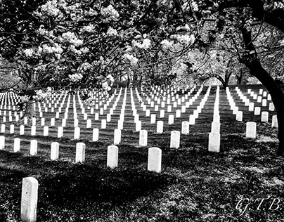 Arlington National Cemetery in Black and White