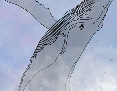 Humpback whale Drawing Dream