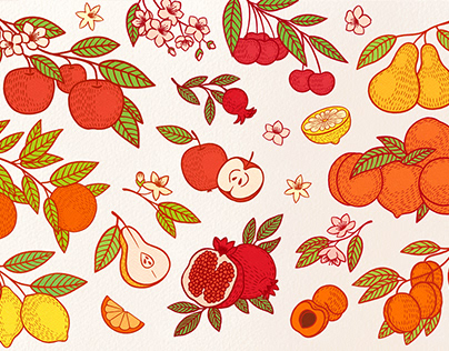 Orchard illustration set