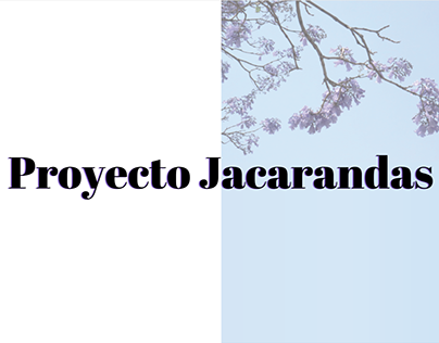 Proyecto Jacarandas