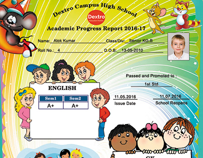 Academic progress report for play group