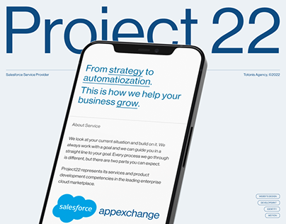 Project22 / Salesforce Service Provider