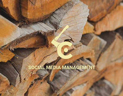 Project thumbnail - social media management . leñería carrasco