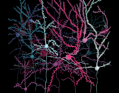 Neuron Art
