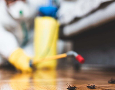 Residential Pest Control Experts Ohio