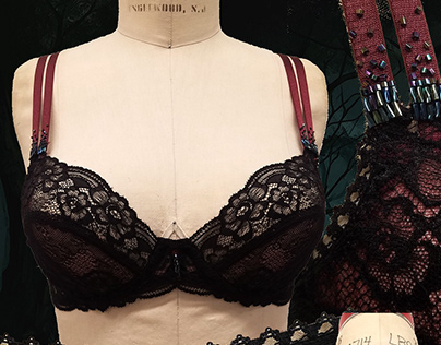 Embrace lace bra with embellishments