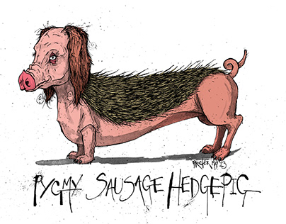 Pygmy Sausage Hedgepig