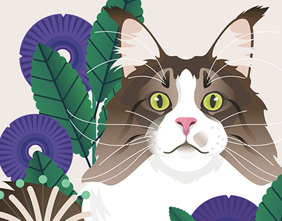 Graphic Illustration _ Cats