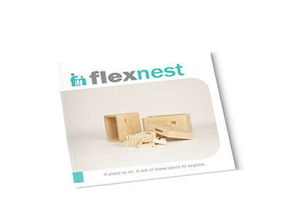 FlexNest Branding