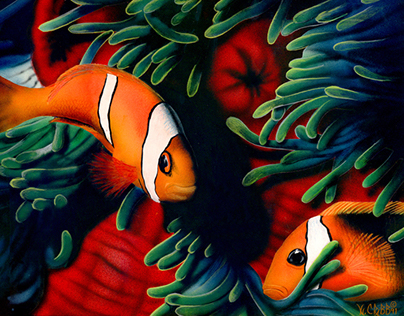 Wildlife Illustration Clownfish