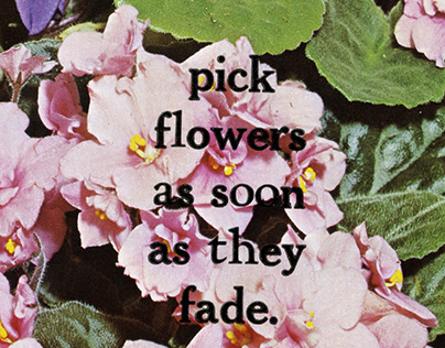 Floral Inspired Letterpress Prints