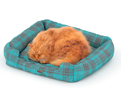 3d model: Ginger cat