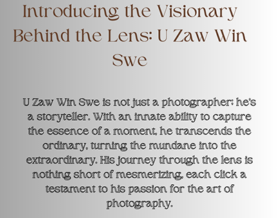Introducing the Visionary U Zaw Win Swe