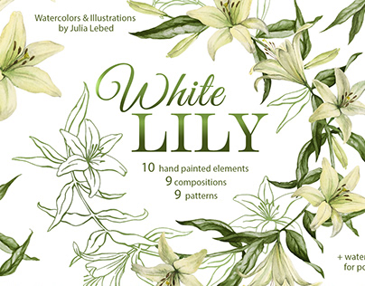 Watercolors and Illustrations set "White Lily"