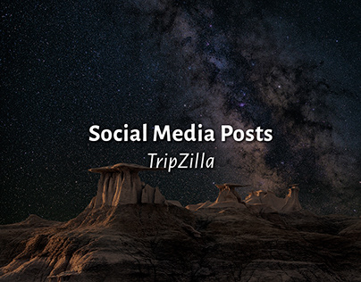TripZilla Social Media Posts