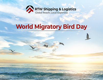 world migratory bird day