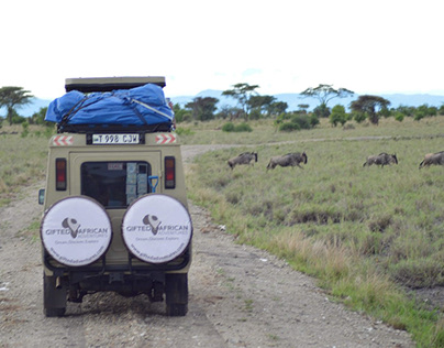How to Get to Serengeti - A Guide to Reaching