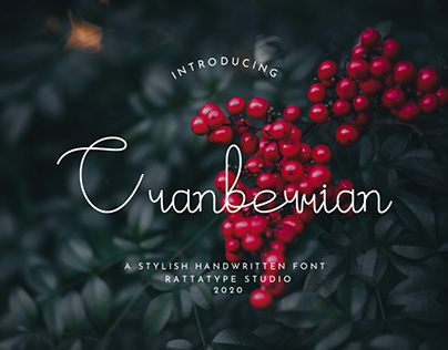 Project thumbnail - Cranberrian Handwriting Font