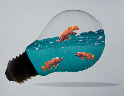 Light bulb whit water and fish