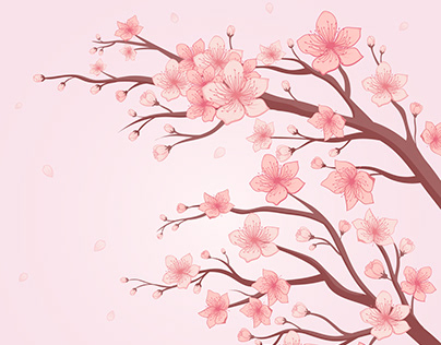 Handdrawn Cherry Blossom Background
