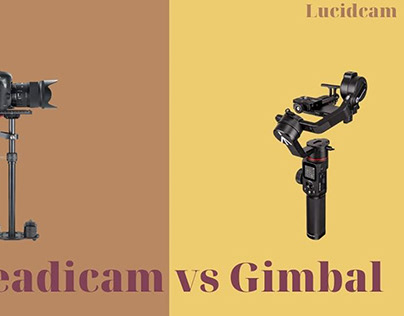 Steadicam vs Gimbal 2022: Which Is Better For You