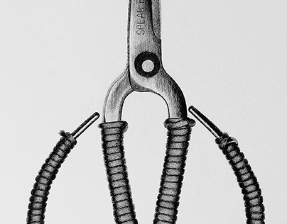 Embroidery Shears