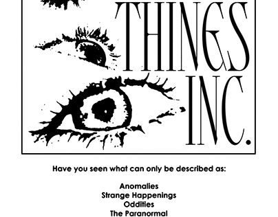 Seeing Things Inc