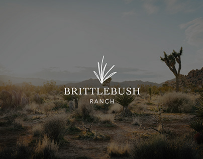 BrittleBush Ranch Branding