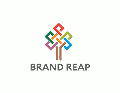 Brand Reap Promotion video