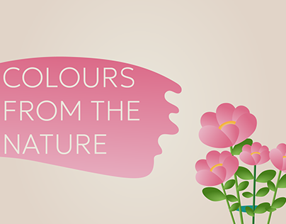 Colours from the nature - matchcut animation