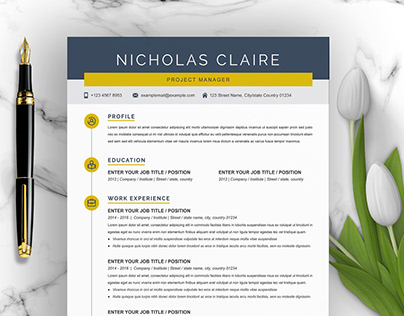 Project Manager Resume/CV Template