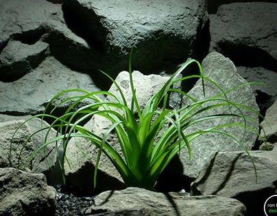 reptile plant: ponytail palm from ron beck designs.